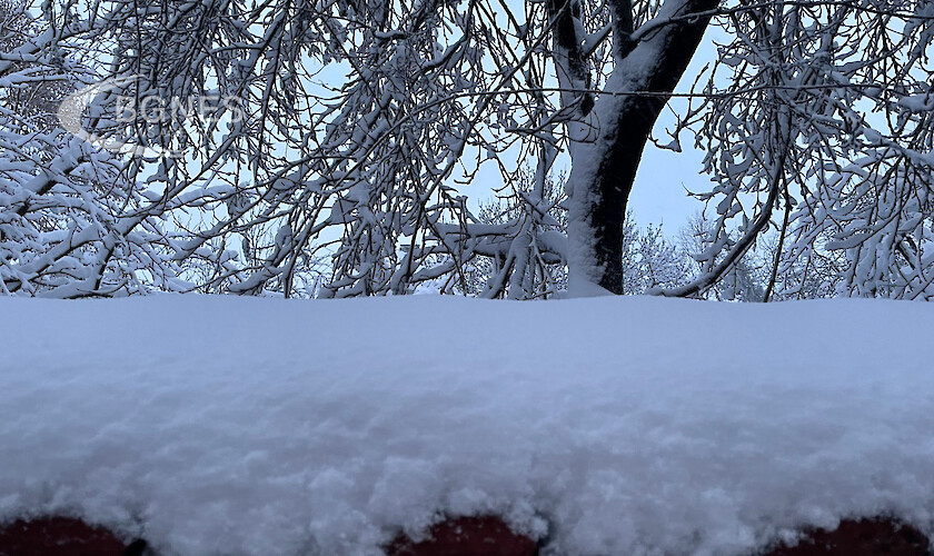 За пореден път снегът изненада Столична община