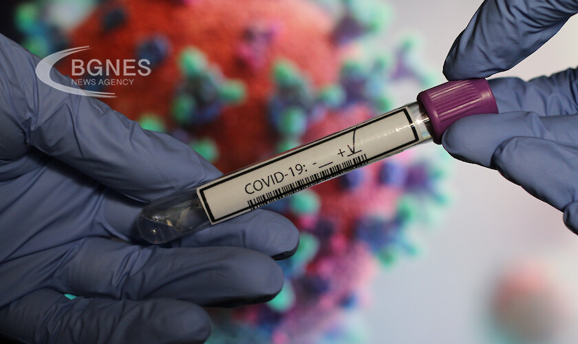 Най-бързо спадат антителата след COVID при млади мъже