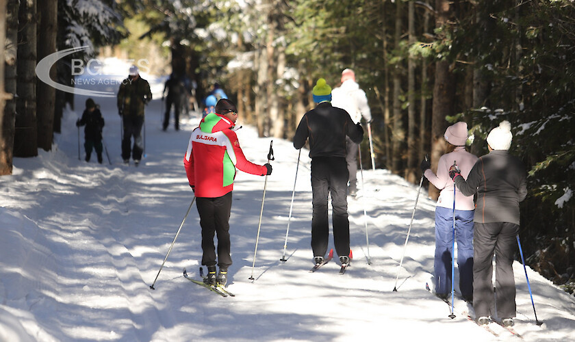 Забавления и уроци по ски бягане на Световния ден на снега