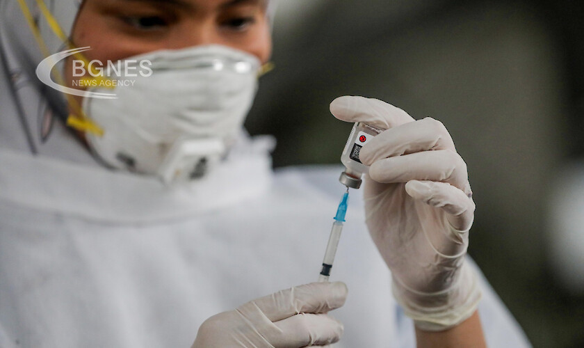 Тайландски стартъп разработва растителна ваксина срещу Covid