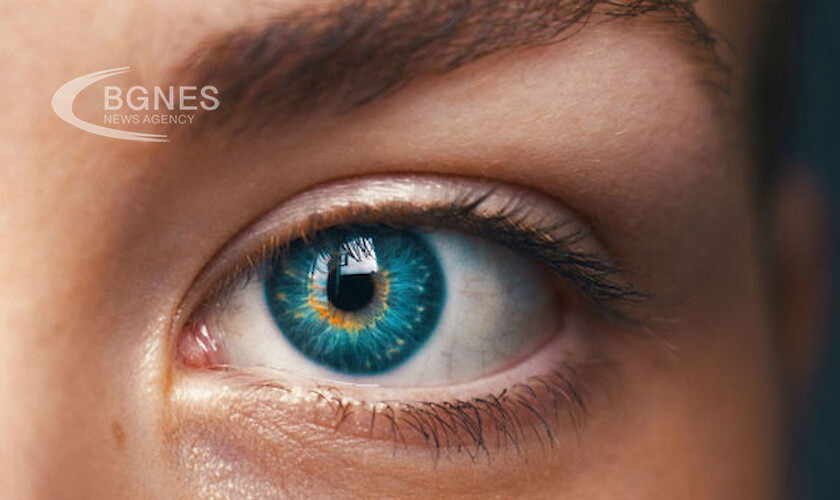 Огледало на душата: Хората с кафяви очи са суетни, със зелени - страстни