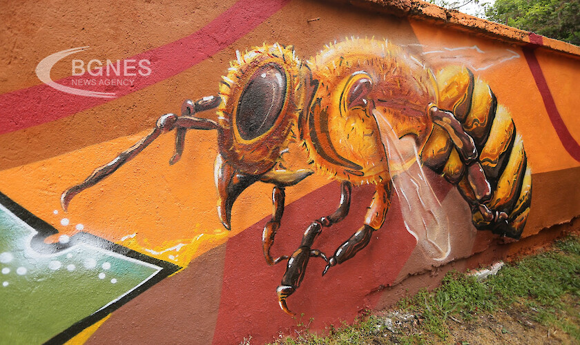 Отбелязваме Международния ден на пчелата