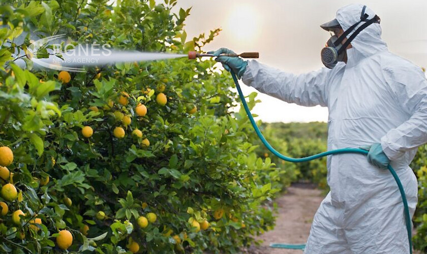 Белгия първа в ЕС по токсични пестициди в плодовете и зеленчуците