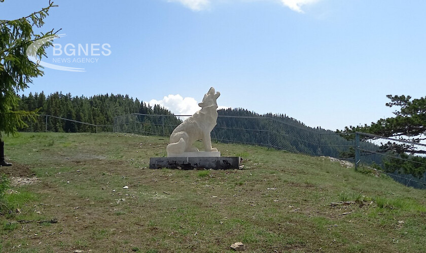 Двутонен каменен вълк е най новата атракция на най високата панорамна