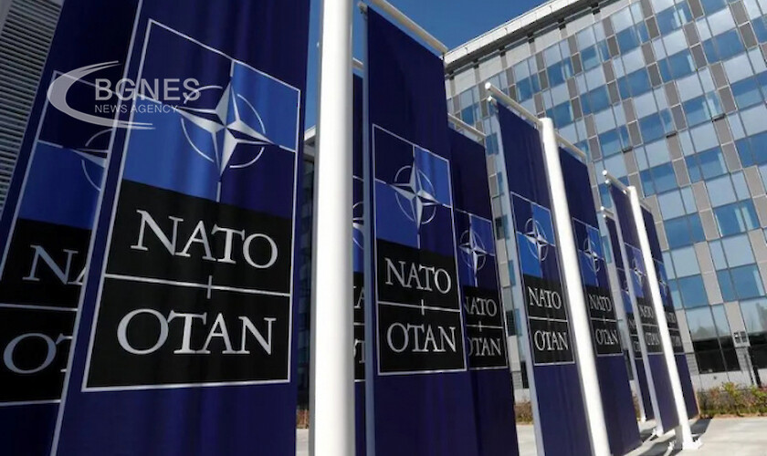 Заместник генералният секретар на НАТО Мирча Джоана смята че алиансът може