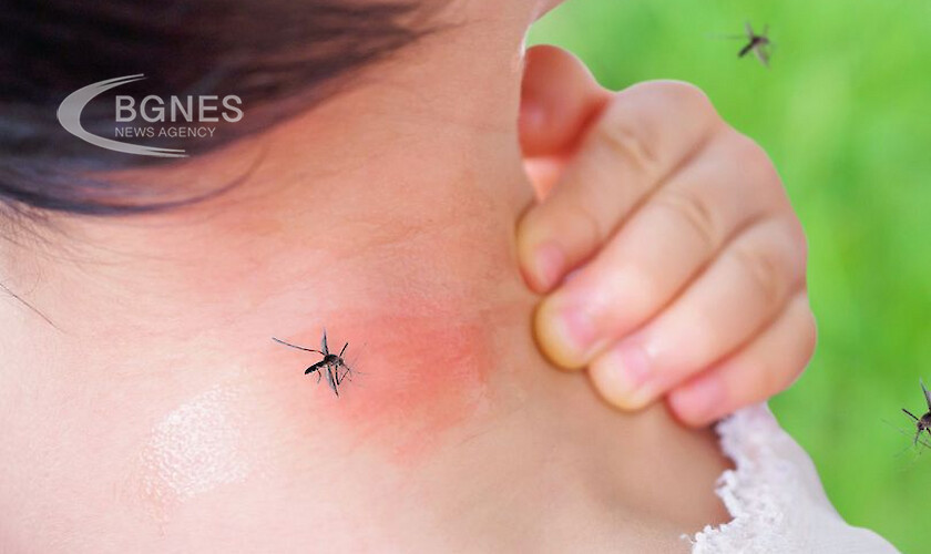 За да се предпазим от комари е необходимо да се
