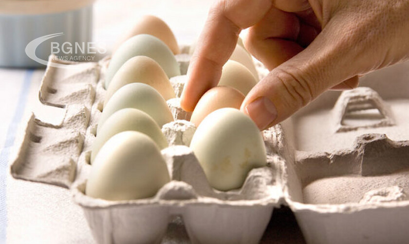 Консумацията на повече яйца намалява риска от сърдечносъдови заболявания и