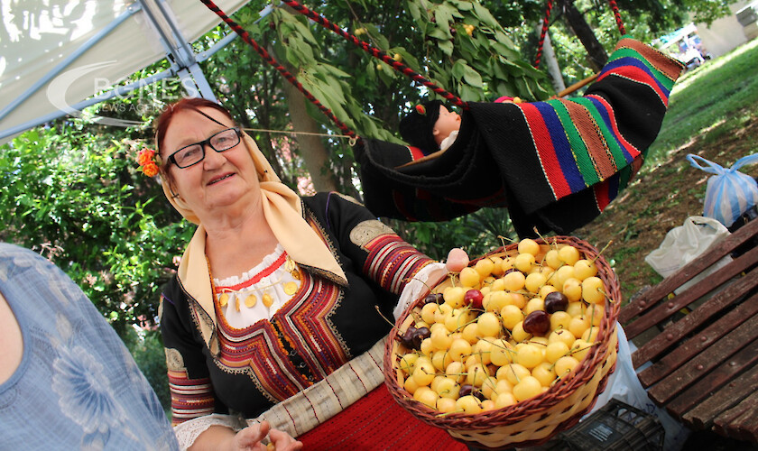 Традиционният празник на черешата се провежда днес в Кюстендил Акцент