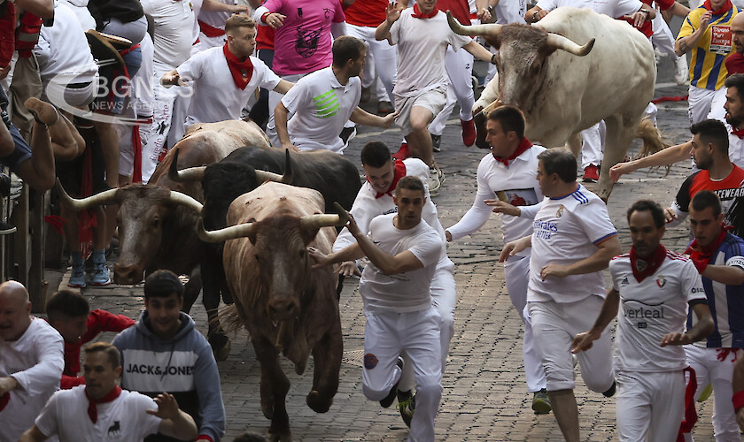 Испания възстанови известния си фестивал за бягане с бикове който