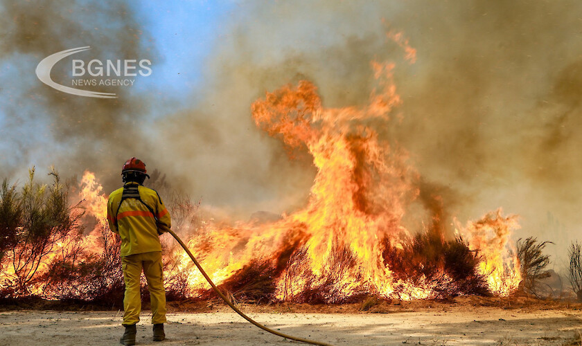 Около 1500 пожарникари се бориха в неделя с множество горски