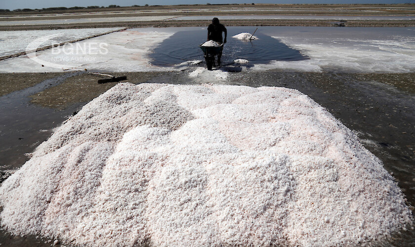 Учени от САЩ доказаха че хората които слагат допълнително сол
