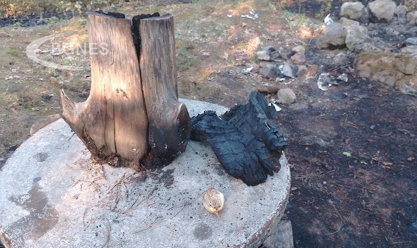 Пожар в района на община Невестино гасиха горски и пожарникари