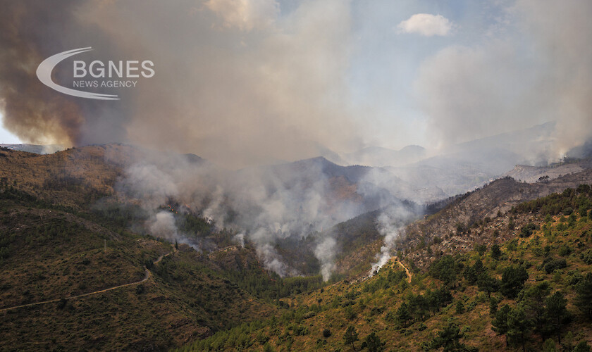 Испания и съседна Португалия се бориха с големи горски пожари