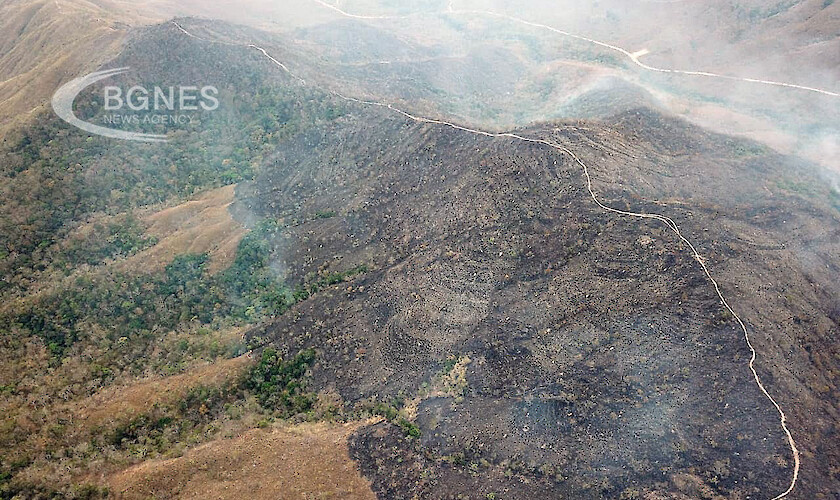 Пожарите в бразилската дъждовна гора Амазонка са се увеличили през