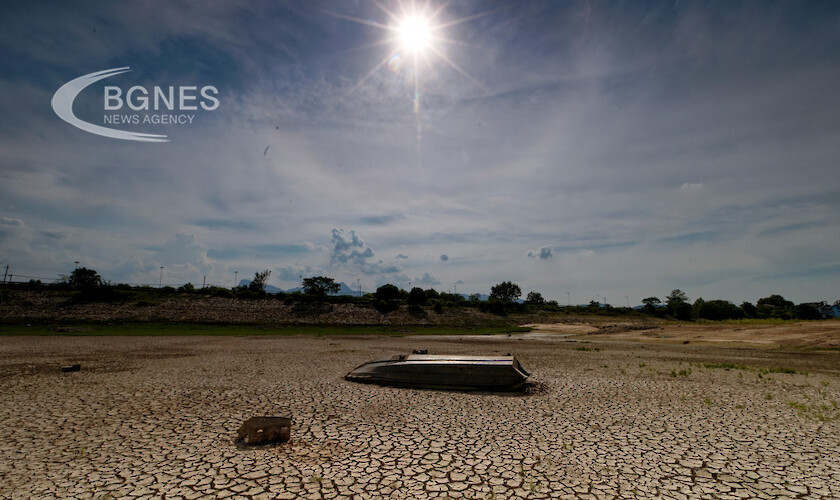 Глобалните щети от сушата в много страни през периода януари юни