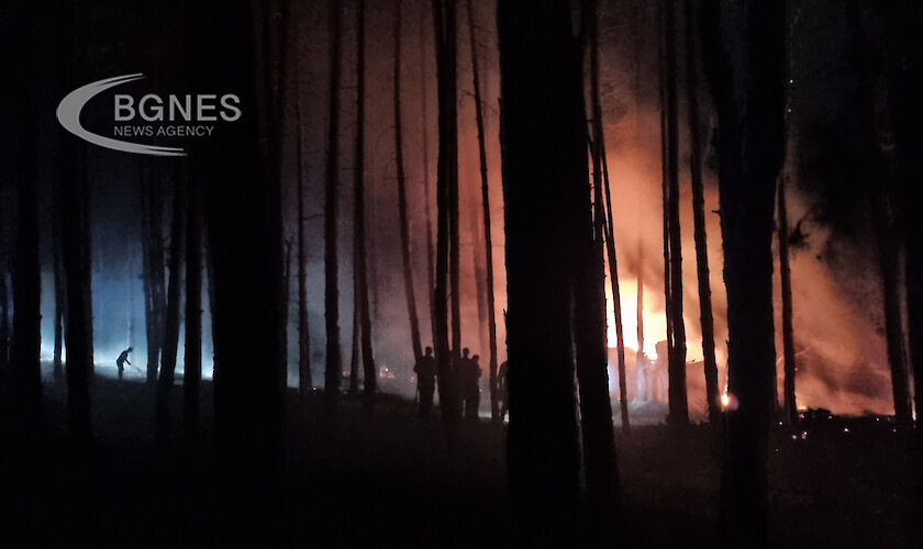 Пожар горя в парк Тюлбе в Казанлък съобщи кореспондент на