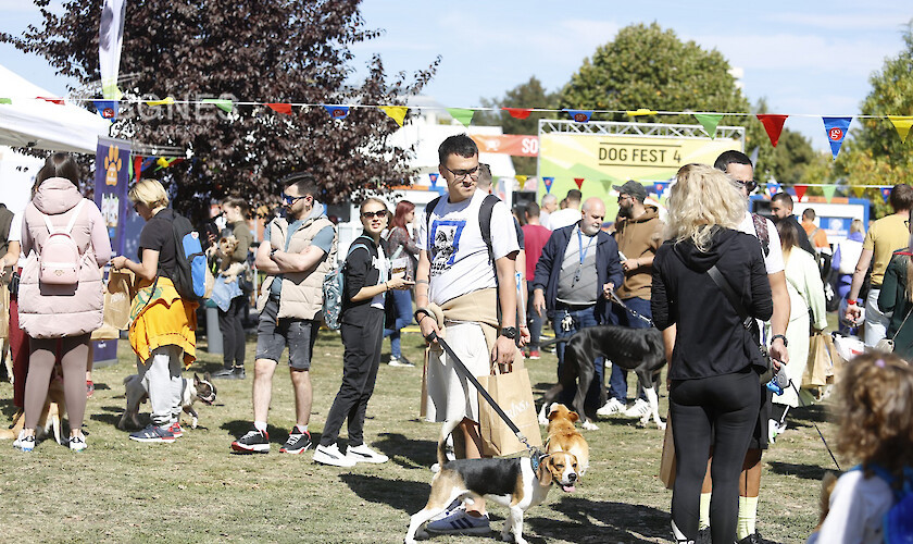 Четвъртото издание на Dog Fest се провежда на кучешката поляна