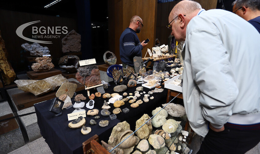 ХХХ-то Софийско изложение на минерали, скъпоценни камъни и фосили показва