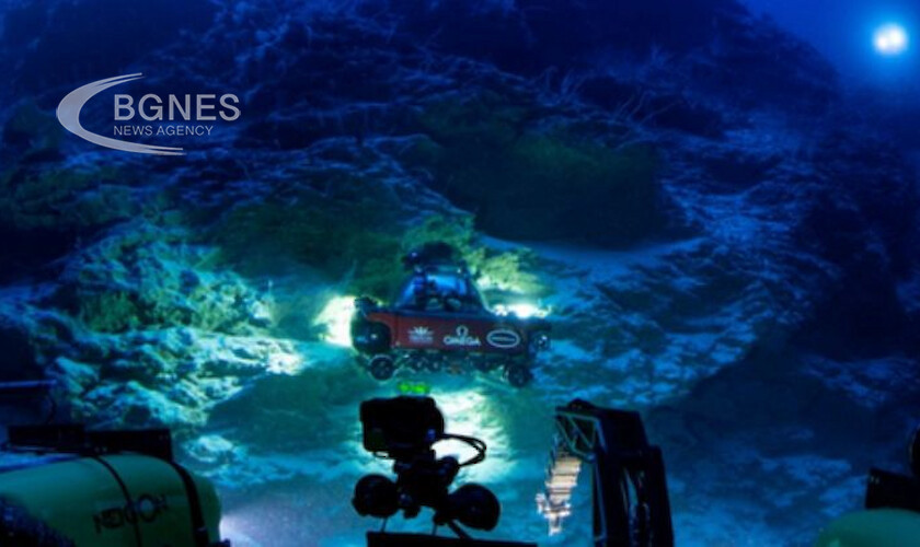 Екип от акванавти откри че Малдивите са оазис на дълбоководен