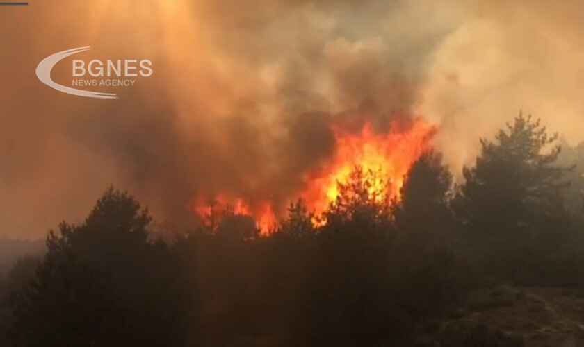 Овладян е пожарът над село Елешница община Разлог 50 декара