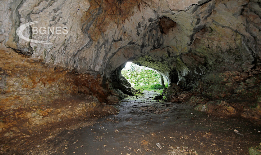 Праисторически каменни инструменти открити в пещера в Полша преди 50