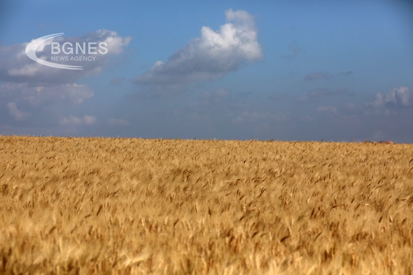 Разширяване на ограниченията върху вноса и продажбата на украински селскостопански