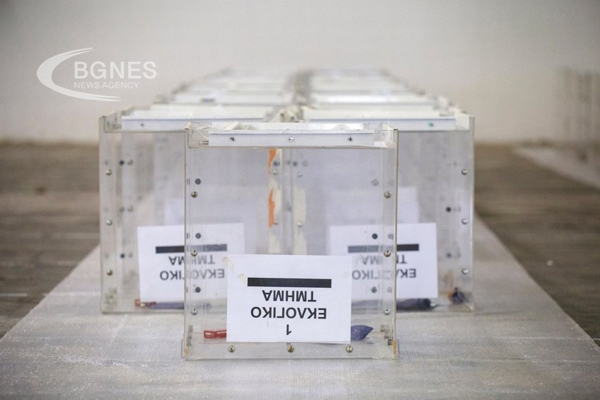 Днес гръцките гласоподаватели се отправят към избирателните урни за да