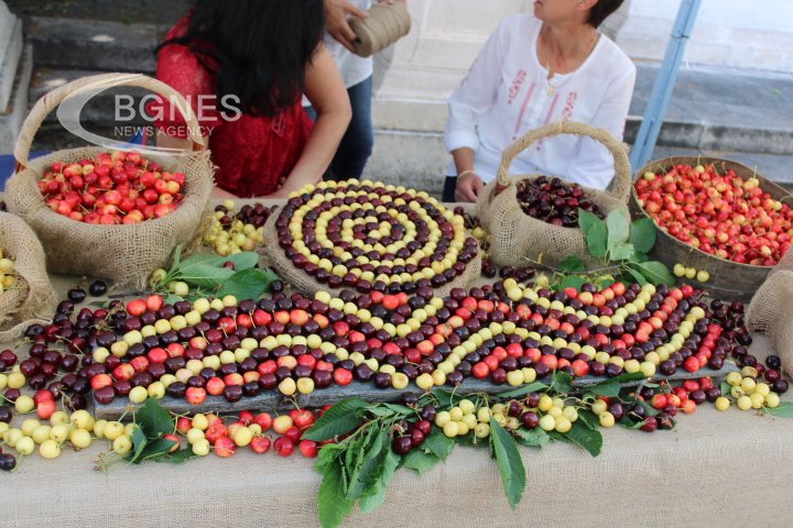 Традиционният празник на черешата се провежда в Кюстендил, предаде кореспондентът
