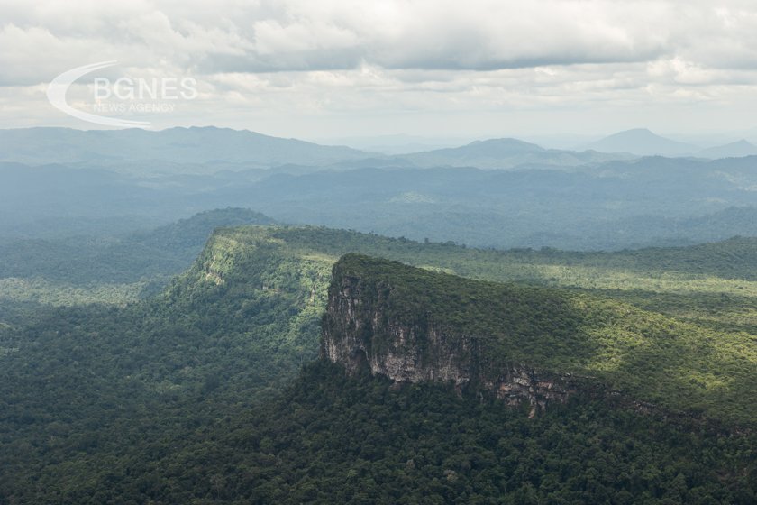 Обезлесяването в бразилската Амазонка е намаляло с над 66 процента