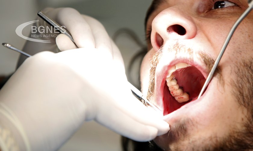 След като станем възрастни зъбите не израстват отново всяко износване