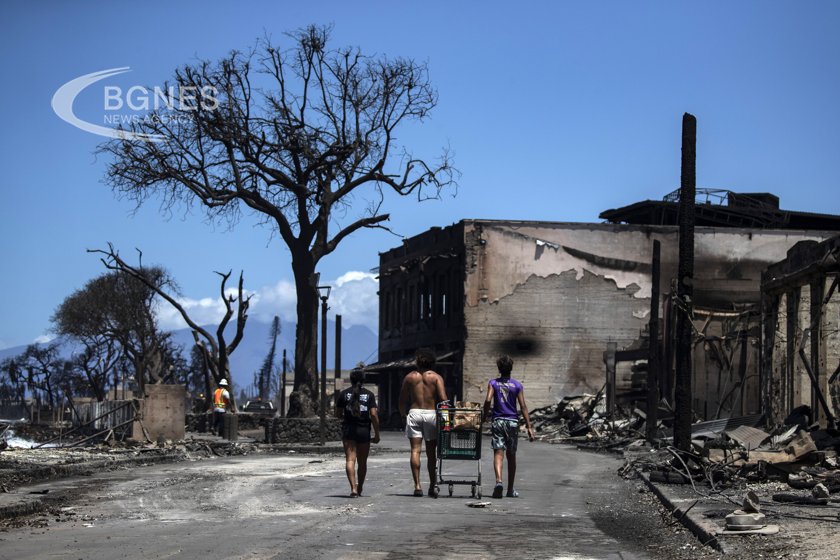 Броят на загиналите в опустошителния горски пожар унищожил град в