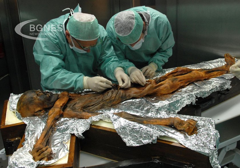 Нов и по прецизен ДНК анализ на прочутата мумия на Ледения