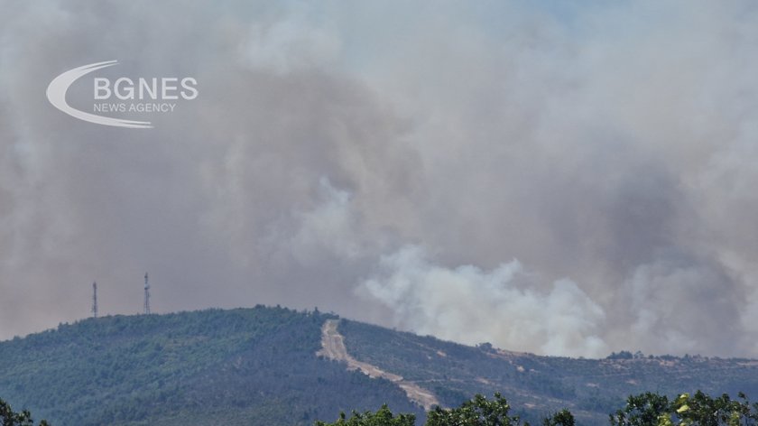 Продължават пожарите в Гърция Поредният град обхванат от голям пожар