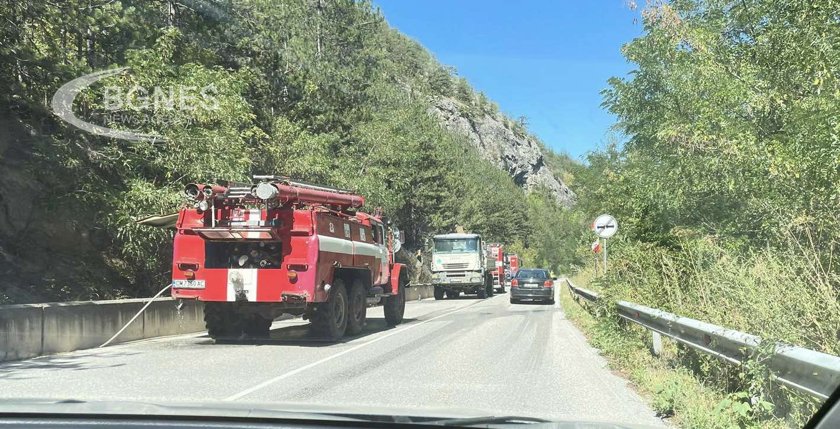 Гори борова гора На място са 5 противопожарни автомобила от