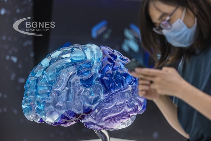 Нова научна техника използваща мозъчни органоиди миниатюрни изкуствени мозъци