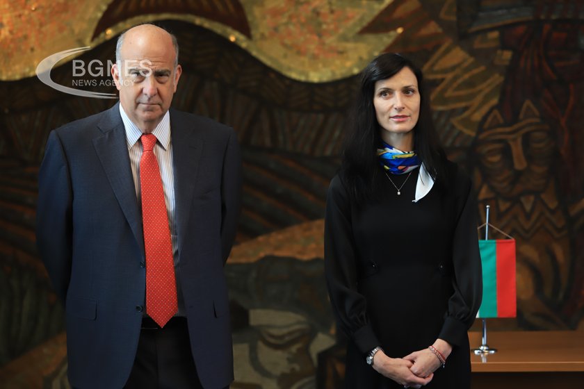 Вицепремиерът и министър на външните работи Мария Габриел ще ръководи