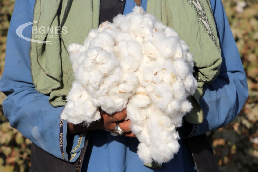 На третия официален Световен ден на памука на ООН под