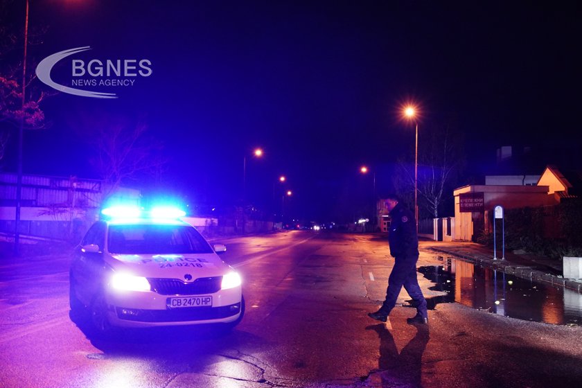 Топола падна върху автомобил в кв Илиянци в София предаде