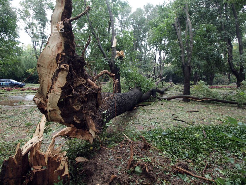 Трагичен инцидент заради ураганния вятър във Варна Жена загина след