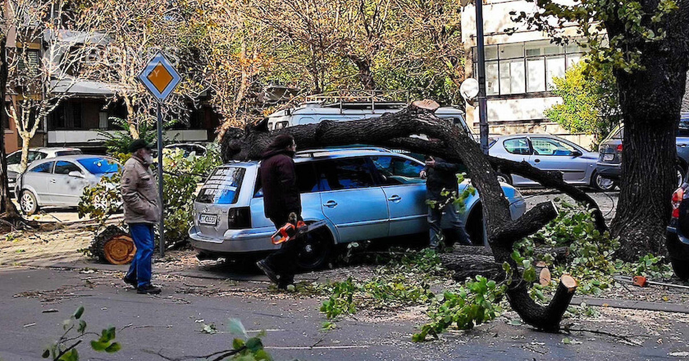 Няколко области в Източна България бедстват заради ураганния вятър който