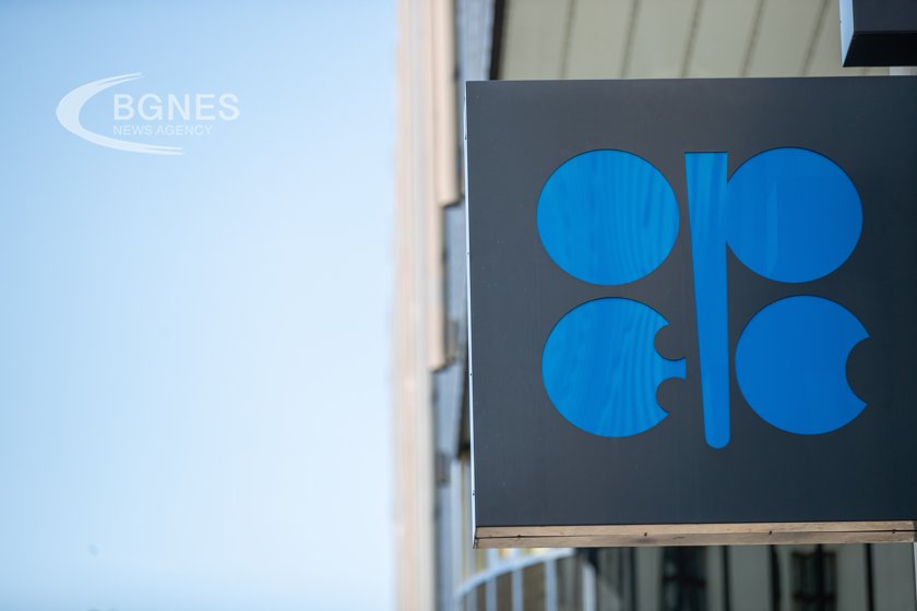 Цените на петрола се понижиха след като ОПЕК отложи срещата