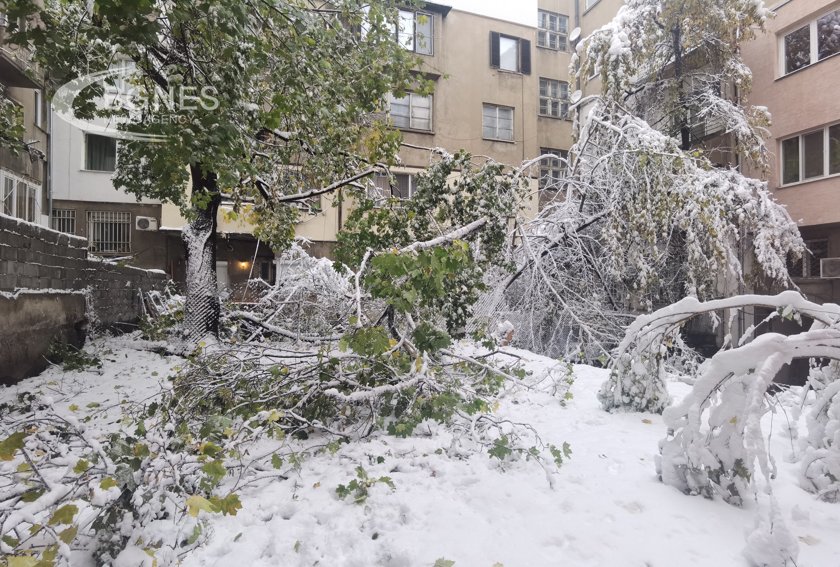 Заради мокрия сняг е усложнена обстановката в Западна България съобщиха