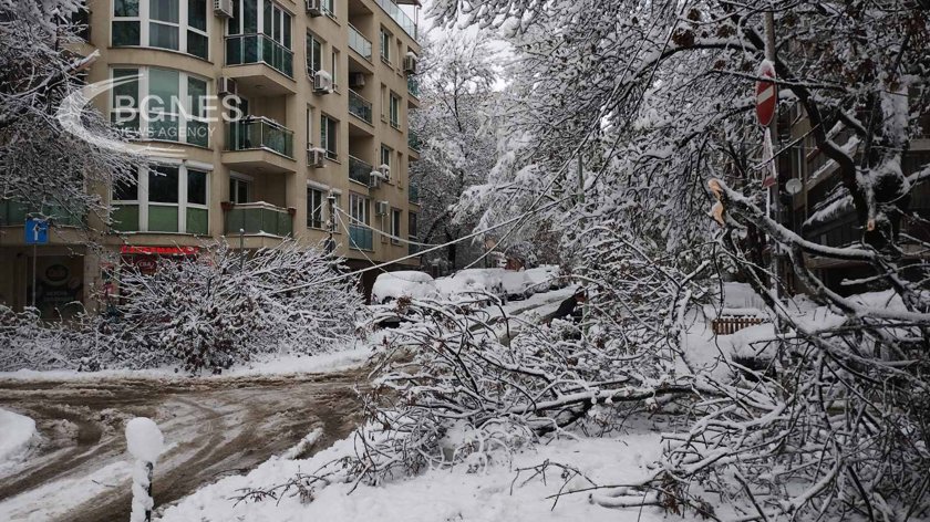 България се събуди в снежен капан в неделя Въпреки предупрежденията