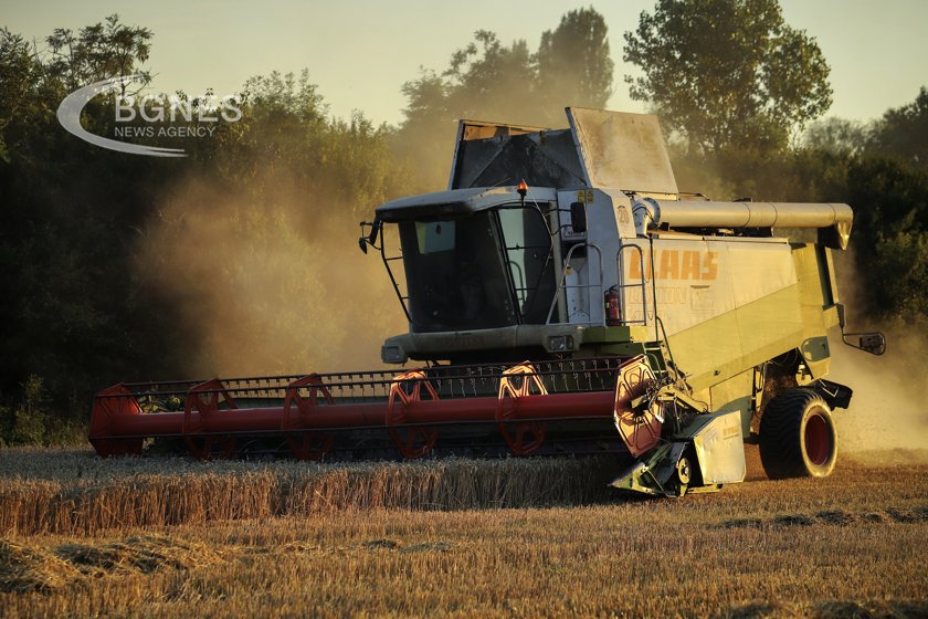 България е изнесла малко над 3 9 милиона тона пшеница за