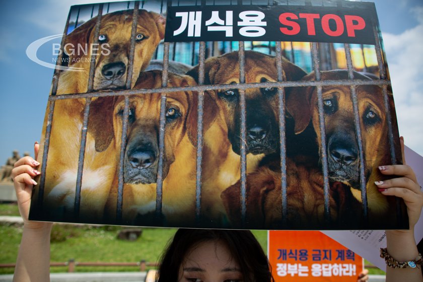 Парламентът на Южна Корея прие законопроект за забрана на отглеждането