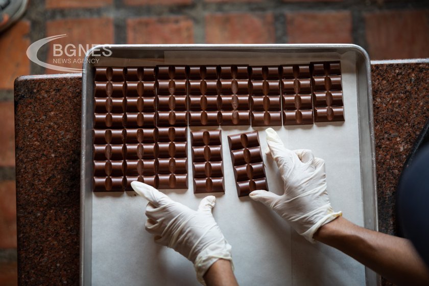 Китайски учени описаха неочаквана възможна полза от черния шоколад Според