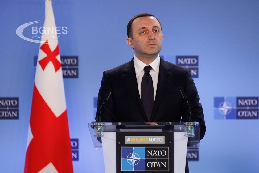 На 29 януари грузинският министър председател Иракли Гарибашвили подаде оставка като