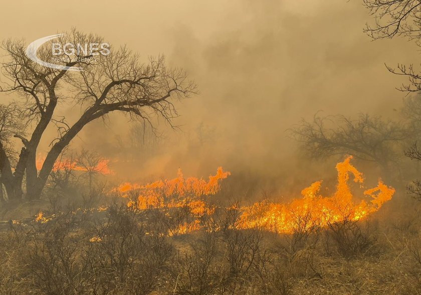 Седем горски пожара бушуват в американския щат Тексас включително един