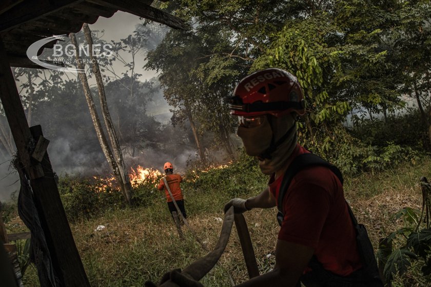 Близо 3000 горски пожара бяха регистрирани в бразилската Амазонка този