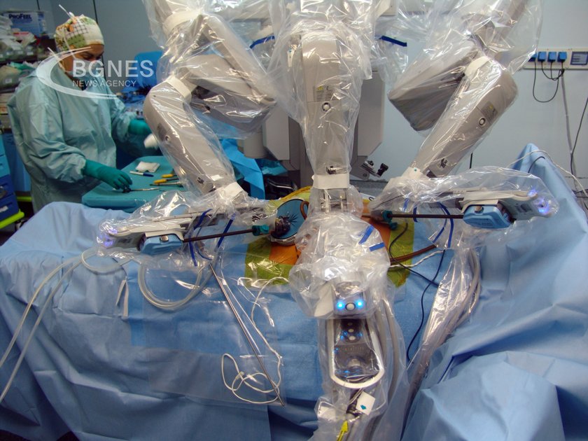 Хирурзи са трансплантирали бъбрек от генетично модифицирано прасе на жив
